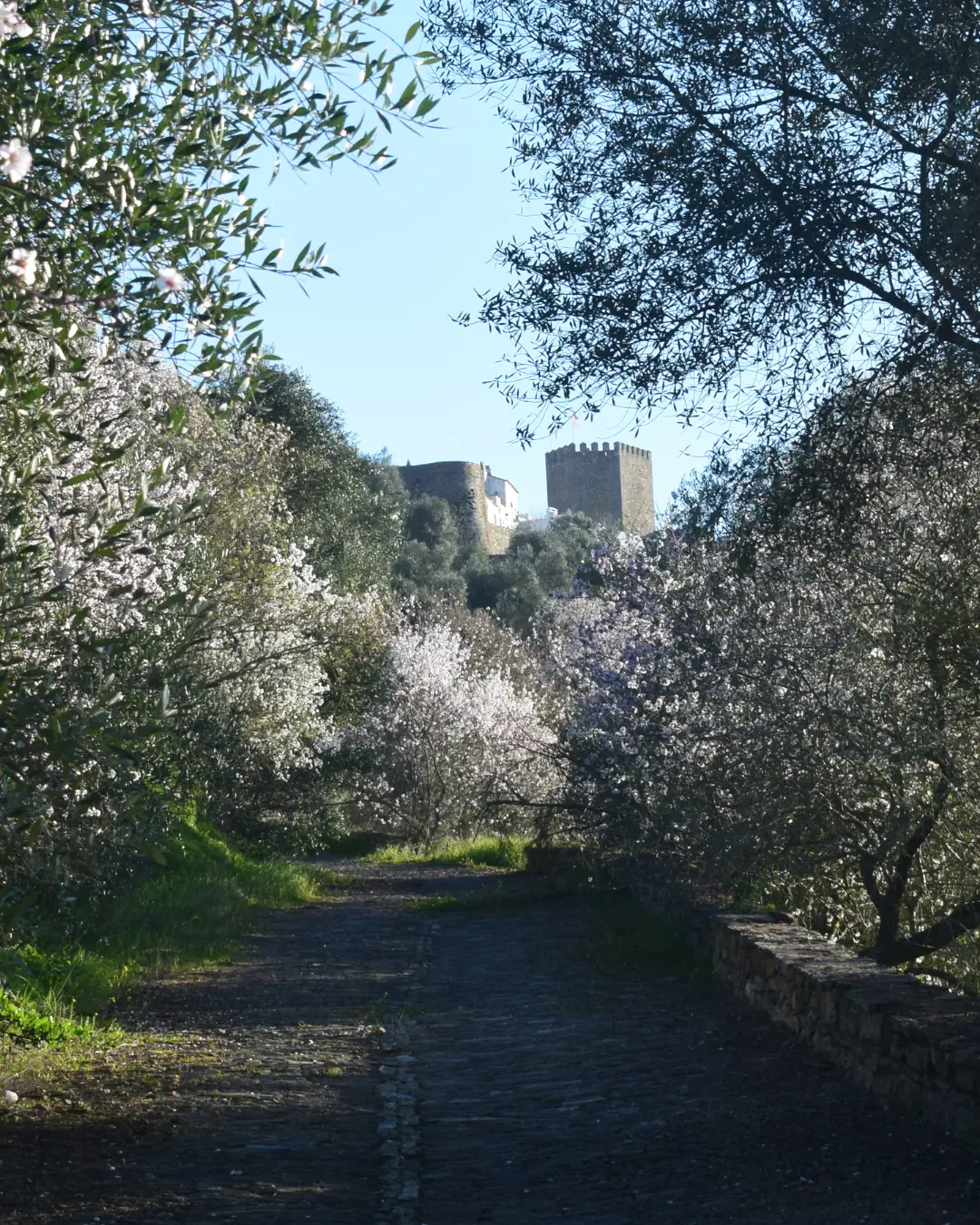 present in the landscape Spain